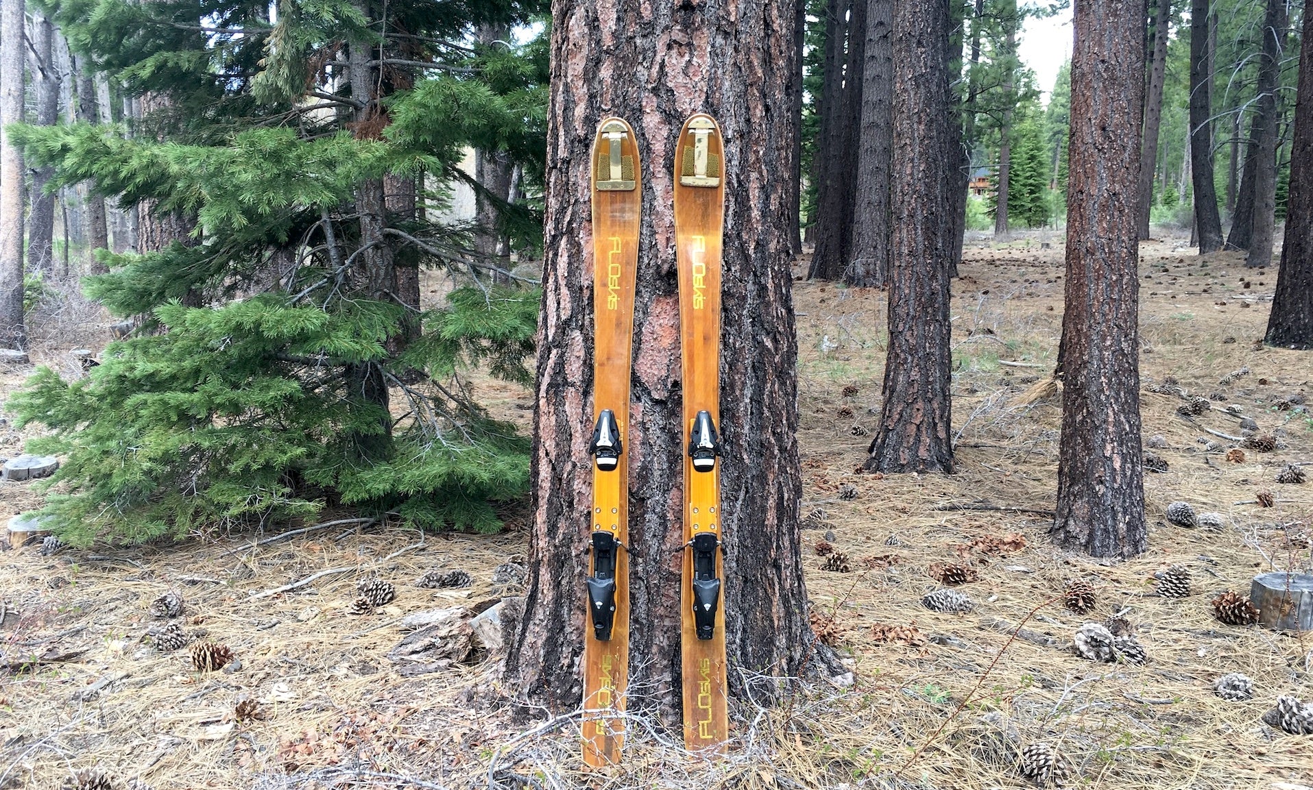 Many Skis in One:  Four Ways to Customize FloSkis